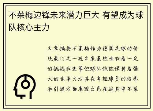 不莱梅边锋未来潜力巨大 有望成为球队核心主力
