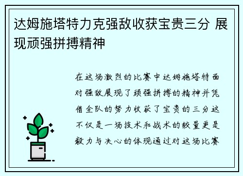 达姆施塔特力克强敌收获宝贵三分 展现顽强拼搏精神